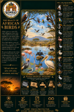 Birds of India Wooden Jigsaw Puzzle - Image 4